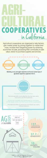 Infographic of Agricultural Co-ops